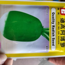 德高阿博萝卜种子抗病耐热抗口感甜脆