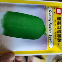 德高马可博萝青皮萝卜种子