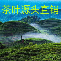 四川雅安蒙顶山明前茶厂家直销
