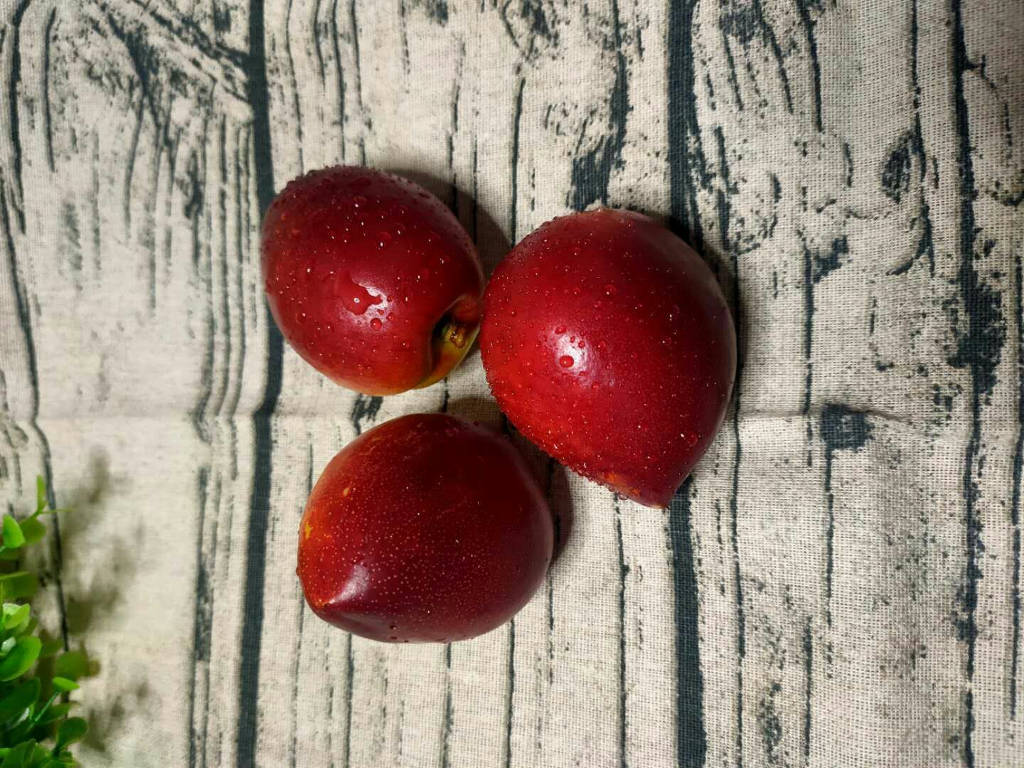 油桃与水蜜桃对比图