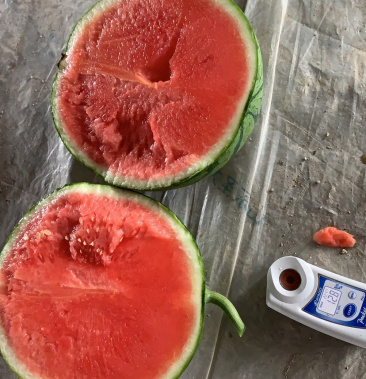 [西瓜批发]帅童西瓜大量上市价格2.00元/斤 - 一亩田