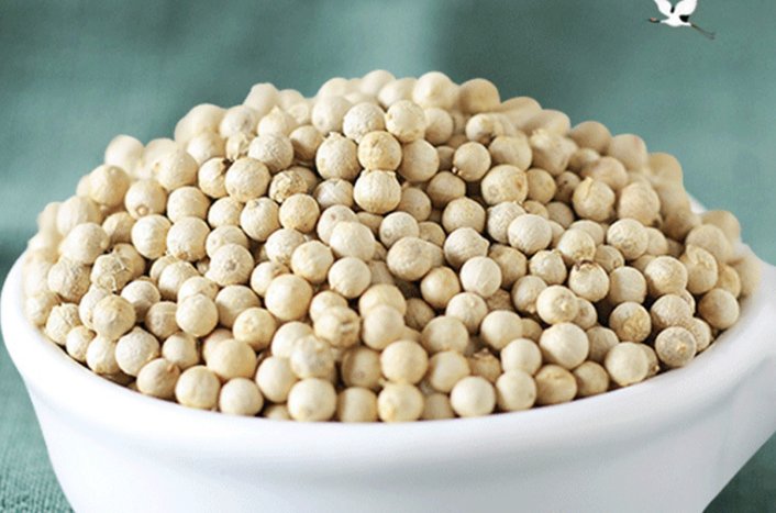 胡椒碱分子结构与感官响应机制示意图