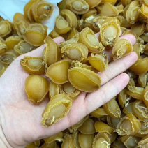 150头大连鲍鱼干批发