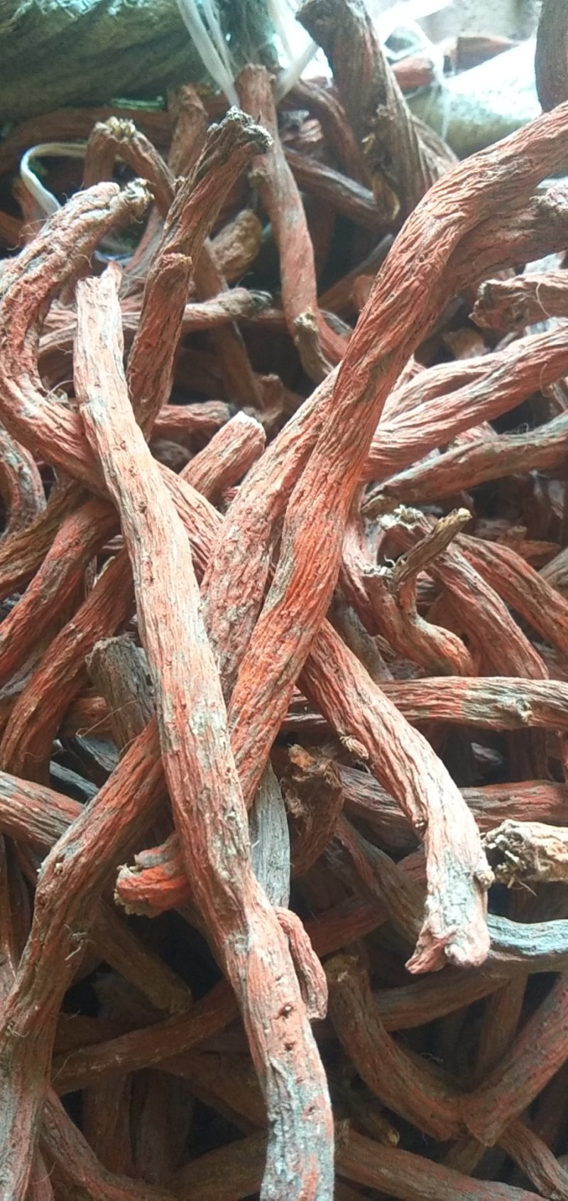 山东丹参,各种规格,各个产地,保质量包含量