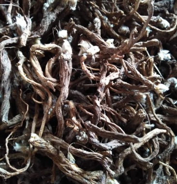 白头翁根干品 辽宁野生白头翁根 品质好 干净