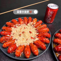 香辣/蒜泥龙虾/虾尾