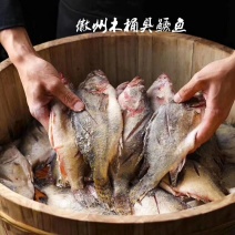 臭鳜鱼黄山特产去磷去鳃净膛真空包装泡沫箱冰袋保鲜快递