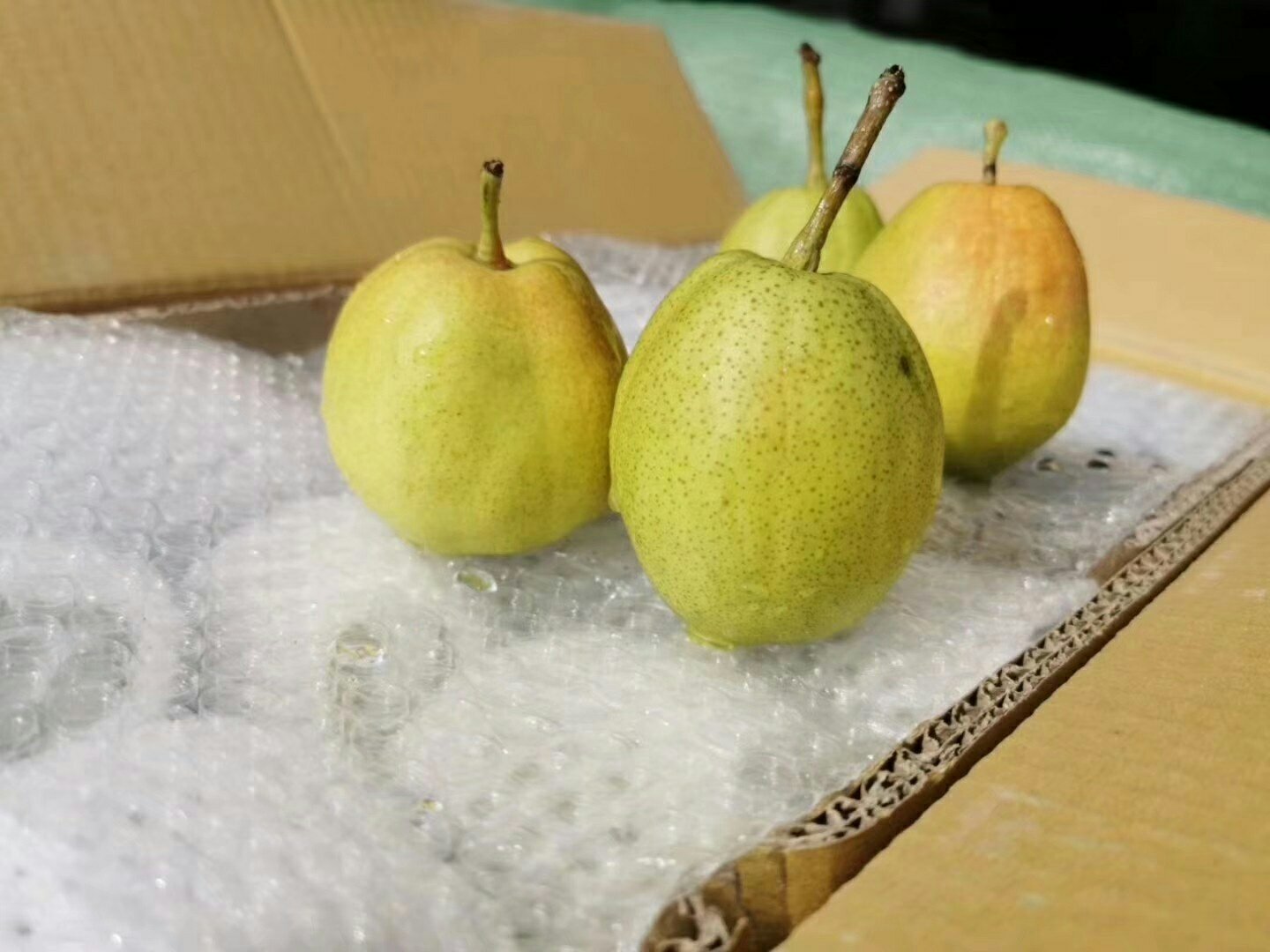 香梨的冷藏保存方法