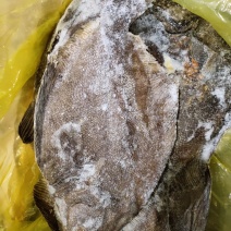 比目鱼阿拉斯加鲽鱼，进口深海鱼类，适合各种餐厅酒店