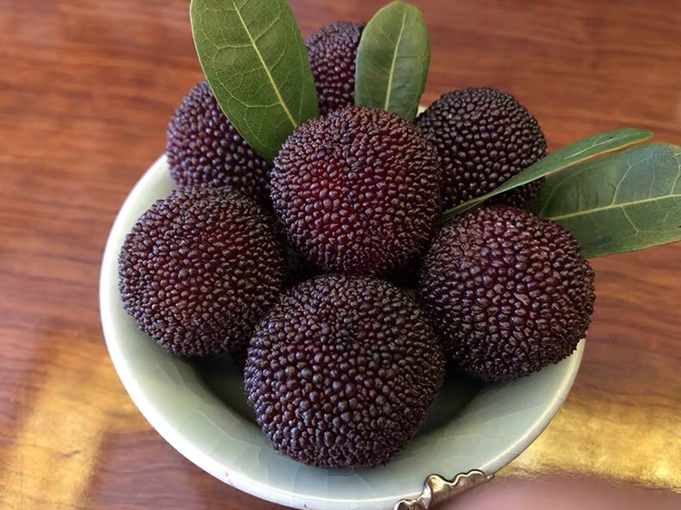 一颗被横向切开的东魁杨梅,露出紫红色多汁的果肉和较小的褐色果核,果肉质地细腻,汁液丰富,切面湿润反光,背景为白色瓷盘,突出其果肉厚实、结构紧密的特征 切开的东魁杨梅横截面特写