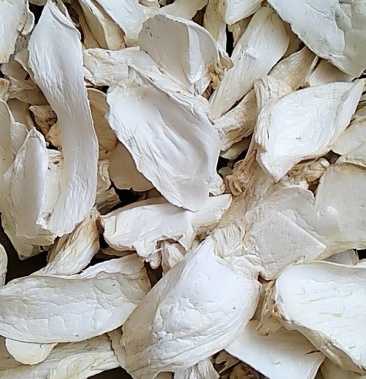 21年新货杏鲍菇干品产地批发大中小干片自产过筛烘开