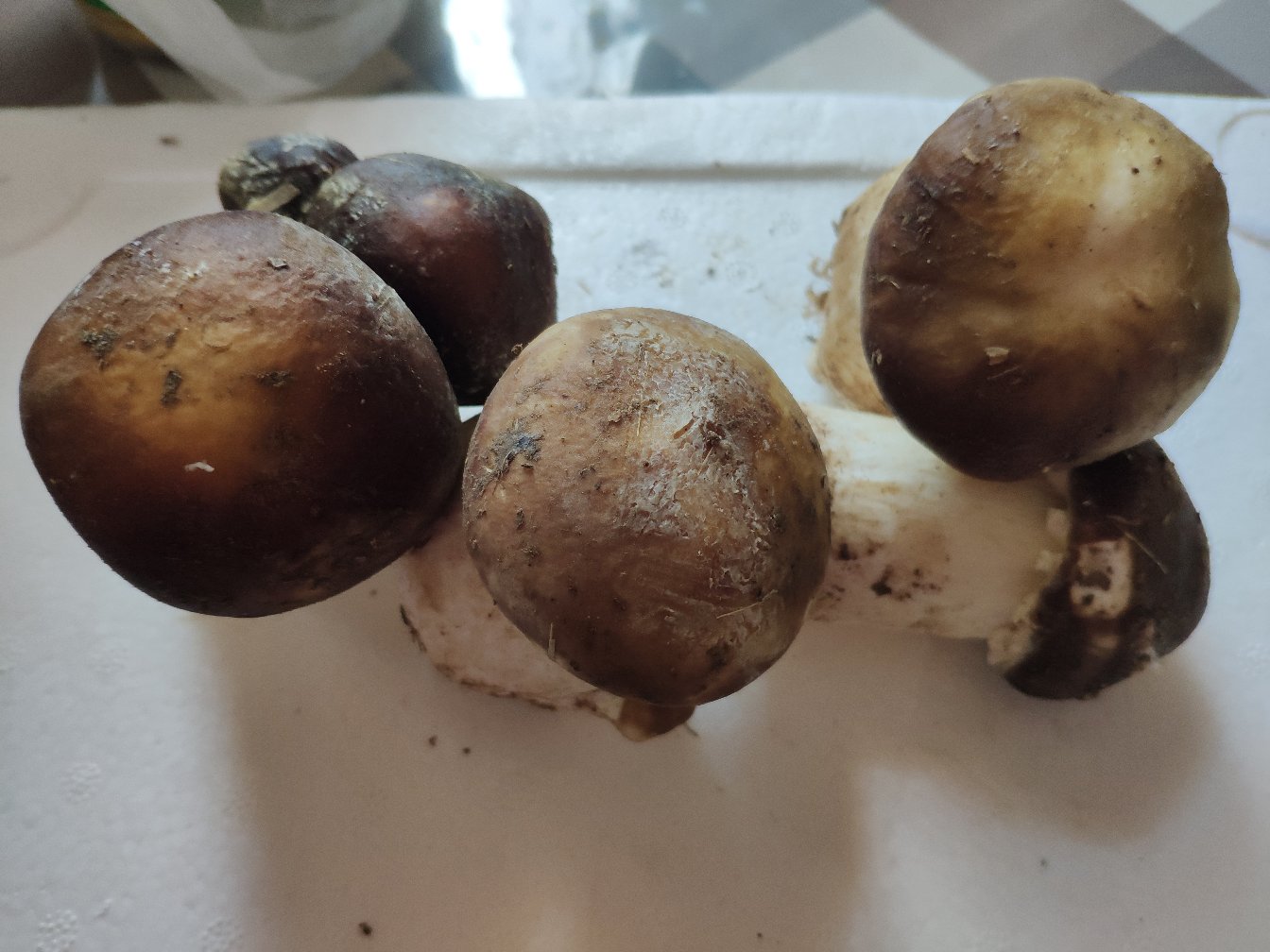 松茸料理成品图