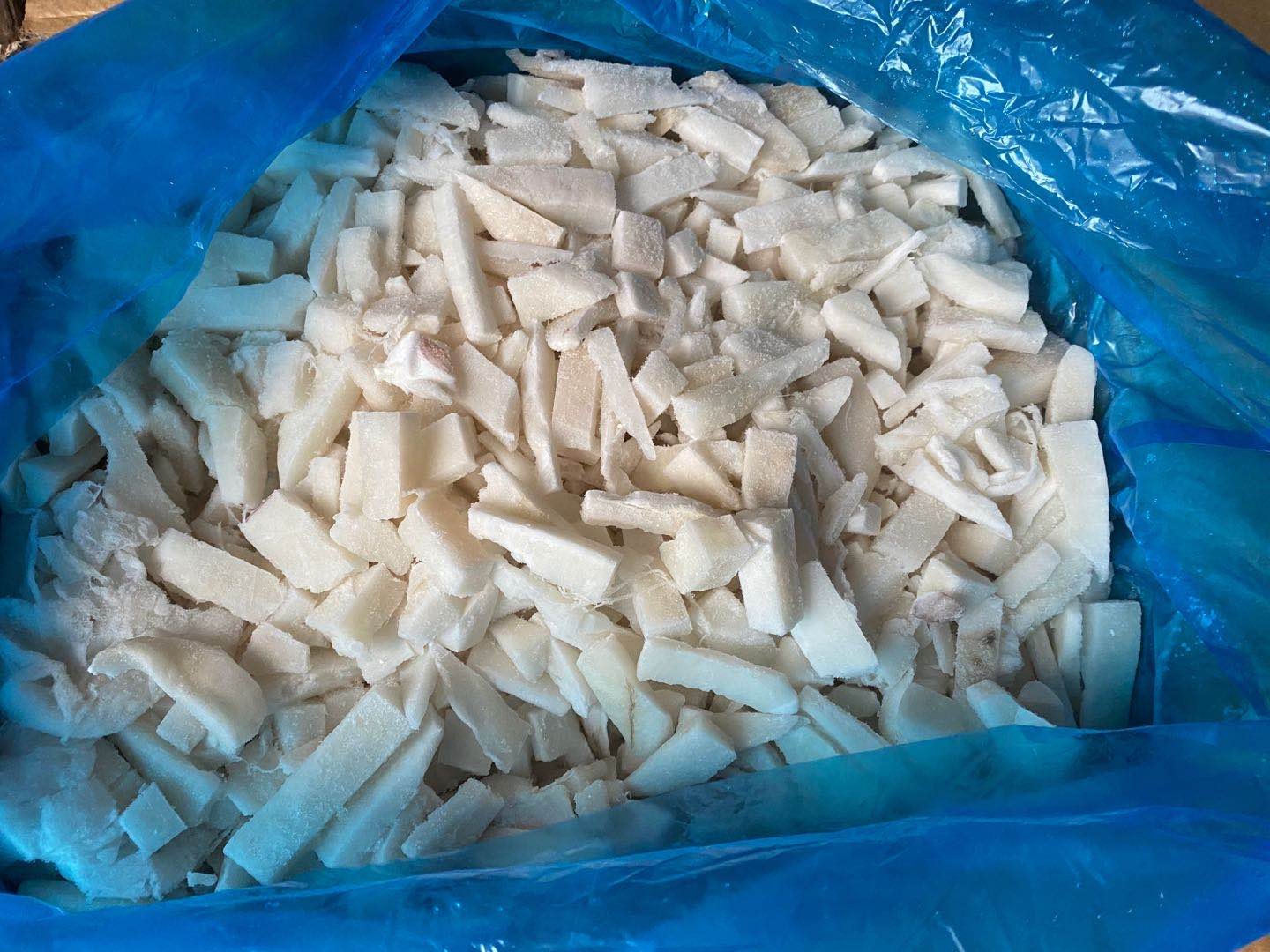 冰鲜鱿鱼在碎冰中保存