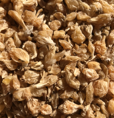 小蒜 野生中药材薤白 瓜蒌泻白 产地直供