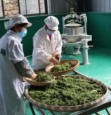 [批发]贵州朵贝茶 2020新茶价格65.00元/斤 - 一亩田