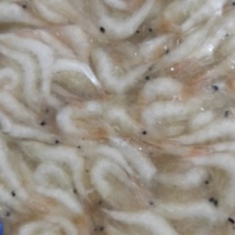 速冻白虾