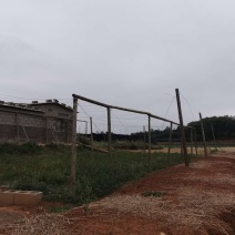 泸西70亩香葱种植用地出租