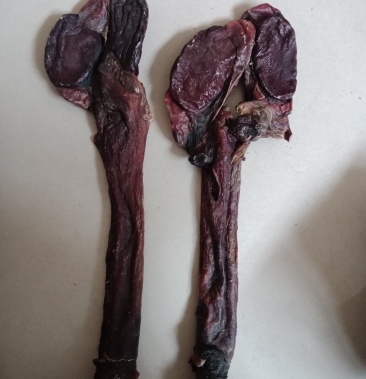 驴鞭干驴鞭泡酒滋补烘干货