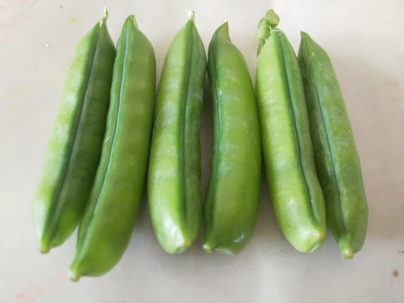 青豌豆实物图