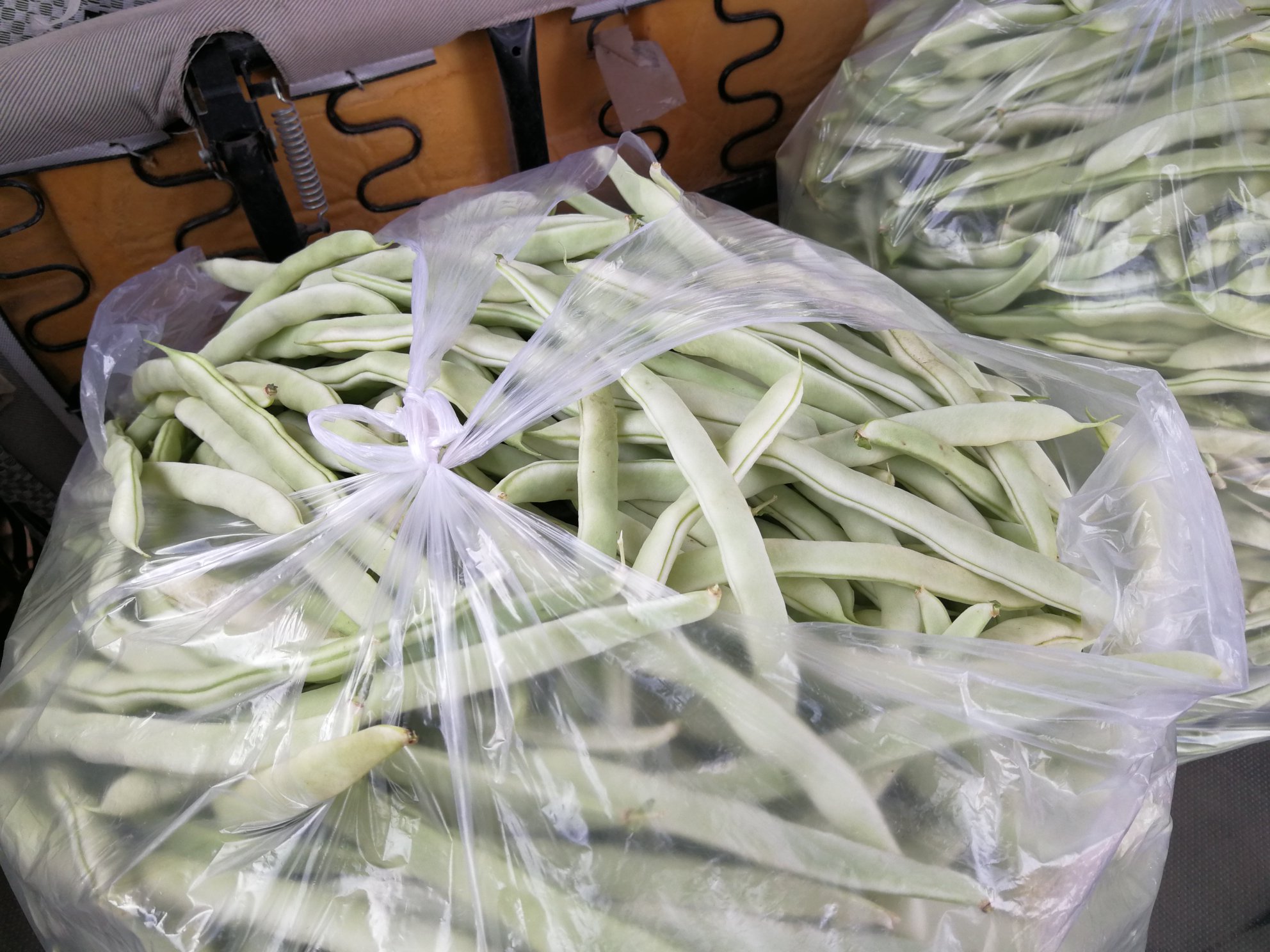 腹透病人与营养师咨询饮食 腹透病人与营养师咨询饮食