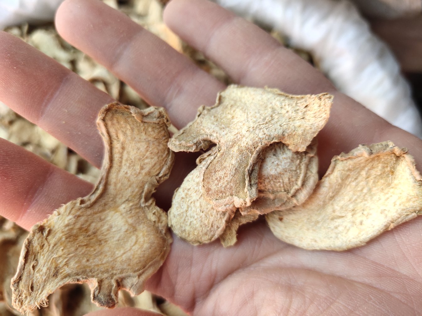 新鲜嫩黄色的子姜切片与干燥粉碎的艾叶、白色葱白段一同置于石臼中,被木槌捣成湿润的绿色泥状物,边缘可见细腻纤维组织,背景为木质案板和中药材容器 子姜与艾叶、葱白混合捣碎过程特写
