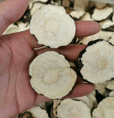 云南丽江特产【玛卡】可切片打粉压成药丸