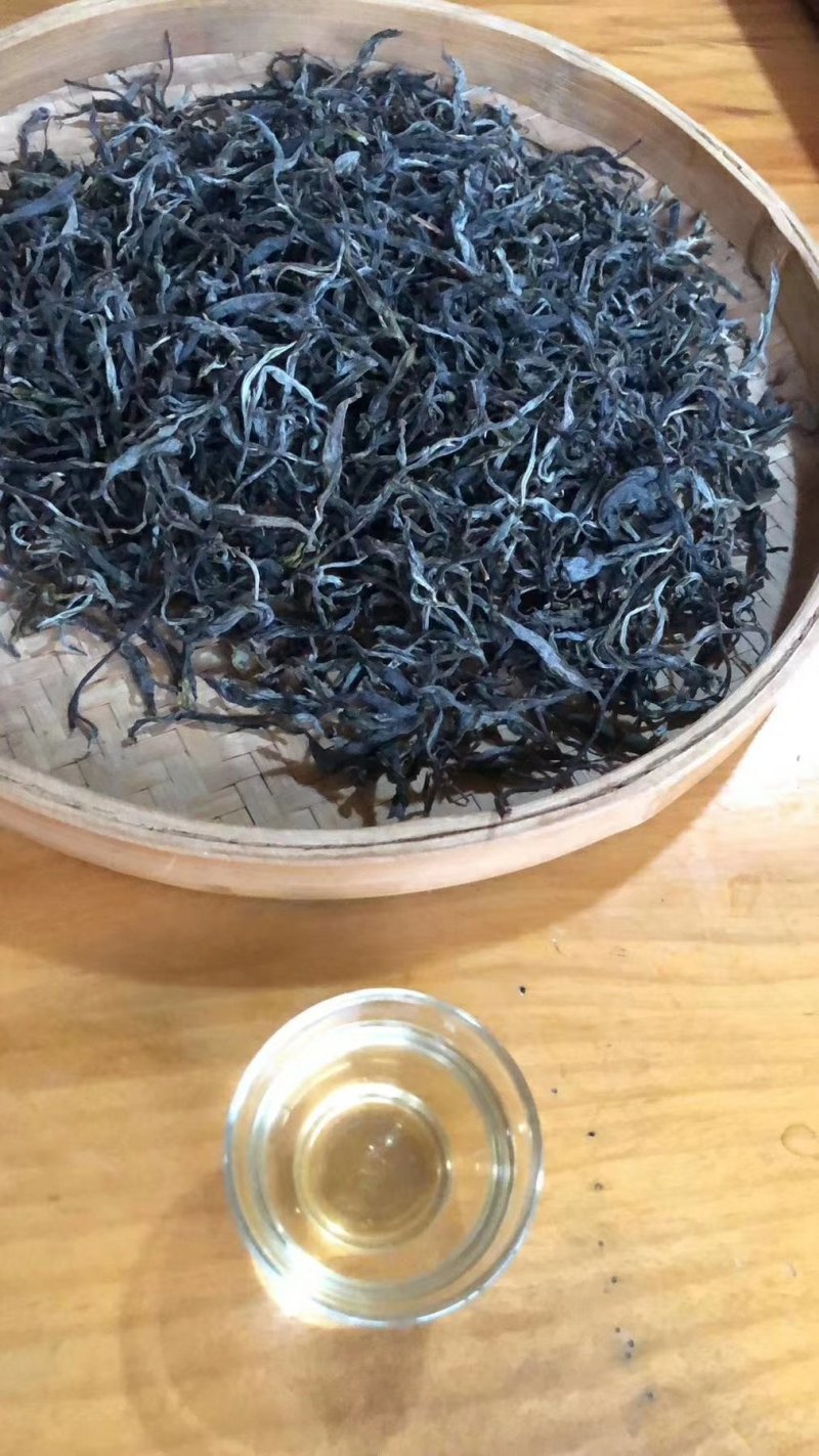 无量山普洱茶特点图片