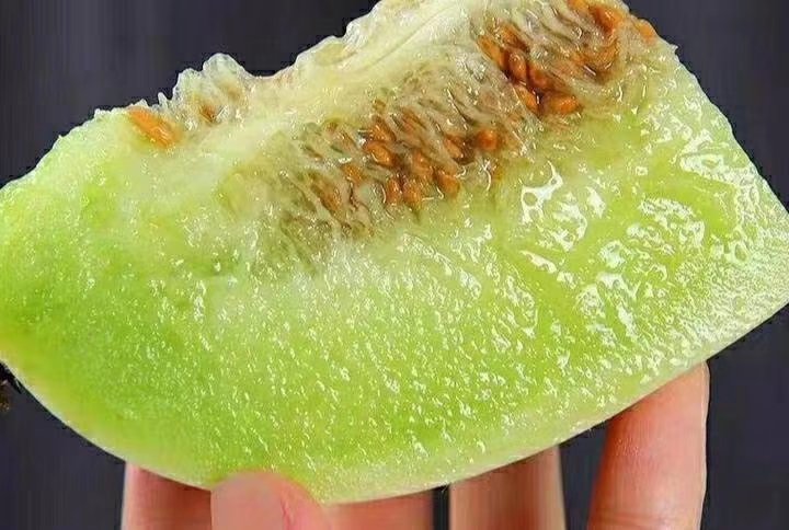 玉菇甜瓜特写