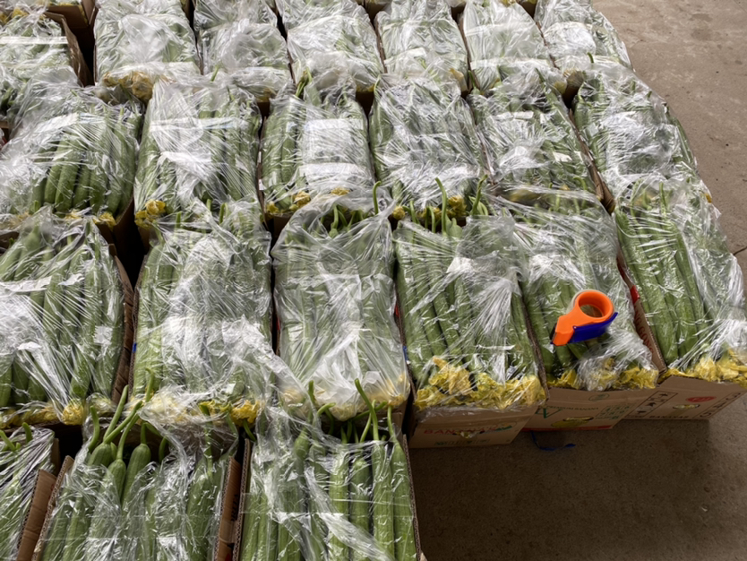丝瓜切片与保鲜膜包裹示意图