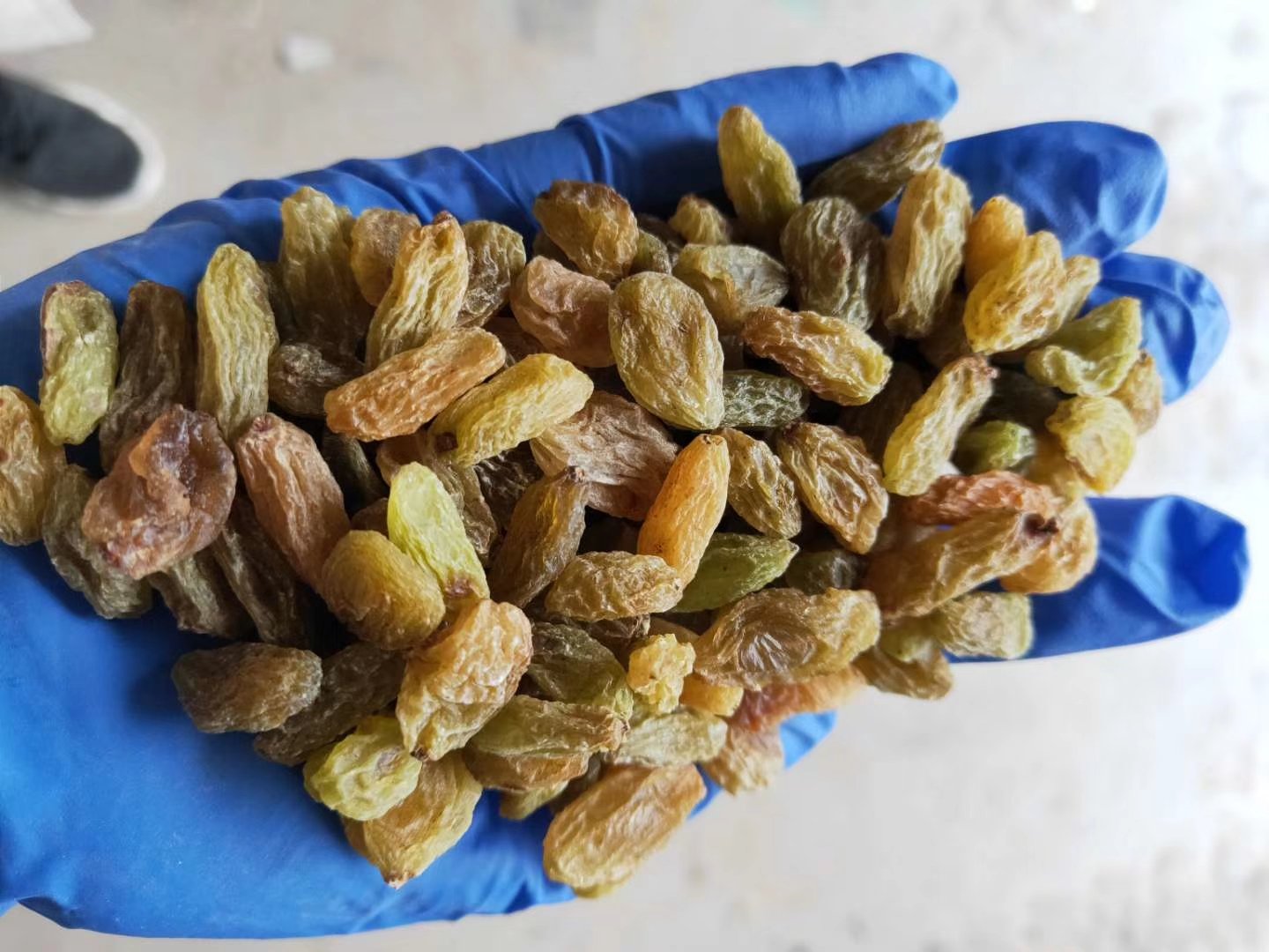 防刺手套特写展示