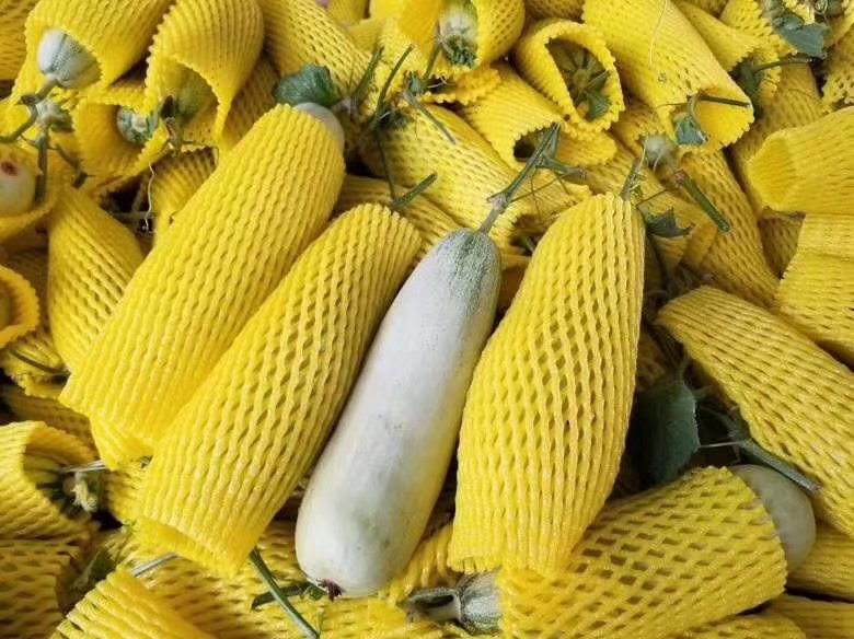 切开的网纹瓜被保鲜膜严密包裹，旁边放有厨房纸巾和保鲜盒