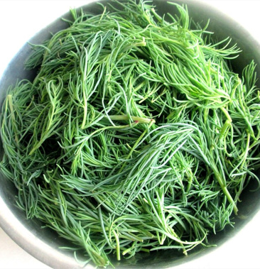 [山野菜批发]黄须菜-皇席菜/碱蓬菜/产地直发价格3.00元/斤 - 一亩田