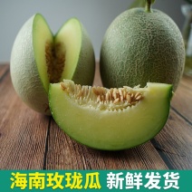 『甘甜清脆』山东玫珑瓜一件代发