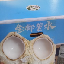 金椰碧水椰子！装椰青九个装，6个装，4个装