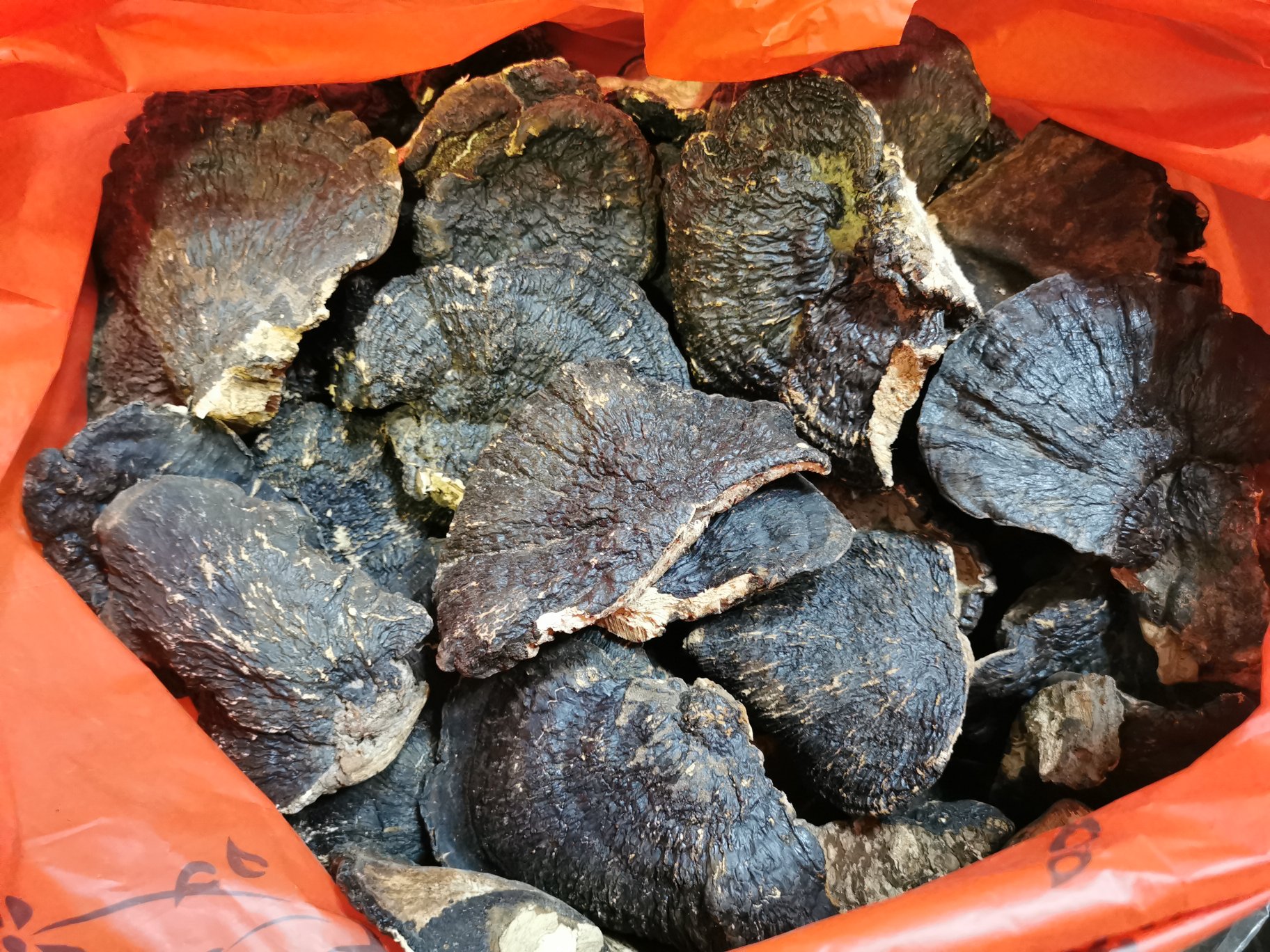 黑灵芝与枸杞实物对比图