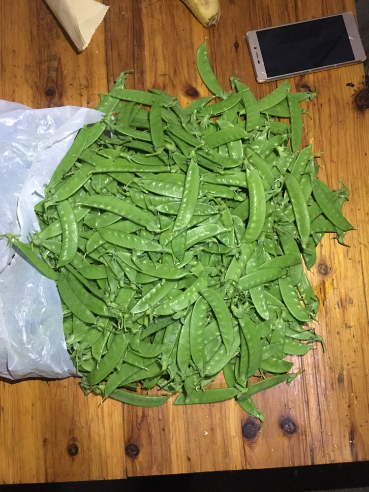 小夹豆荷兰豆甜豆