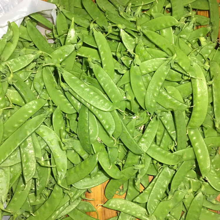 小夹豆荷兰豆甜豆