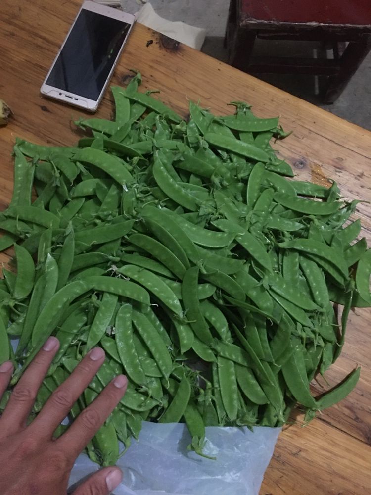 小夹豆荷兰豆甜豆