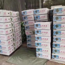 海南去皮椰青