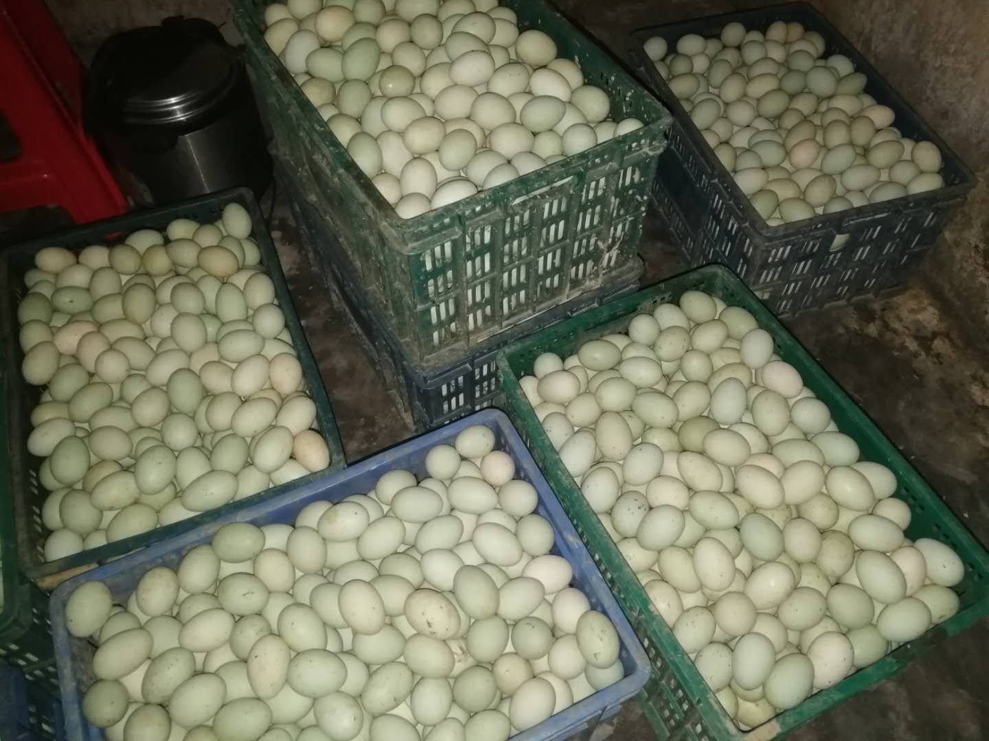 准备食材