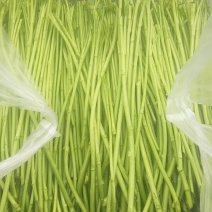 精品芦蒿