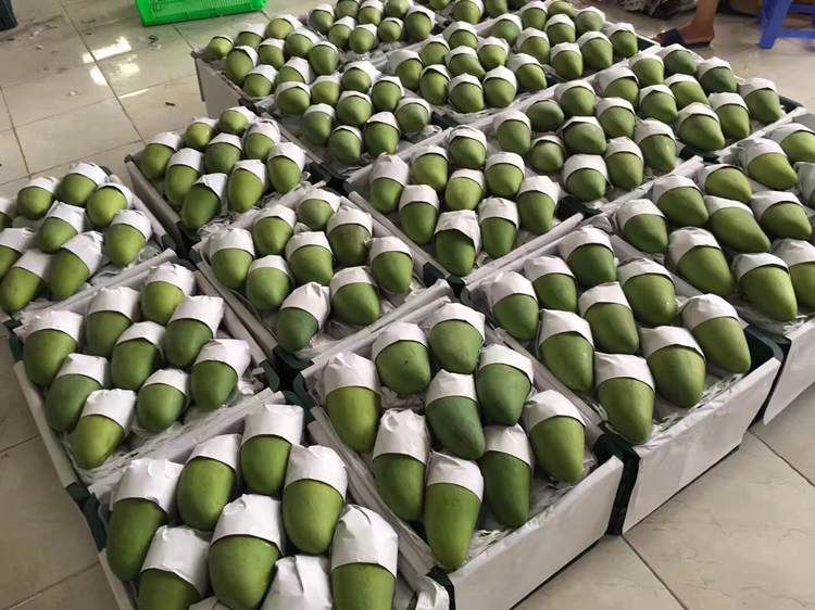大青芒电商销售展示图