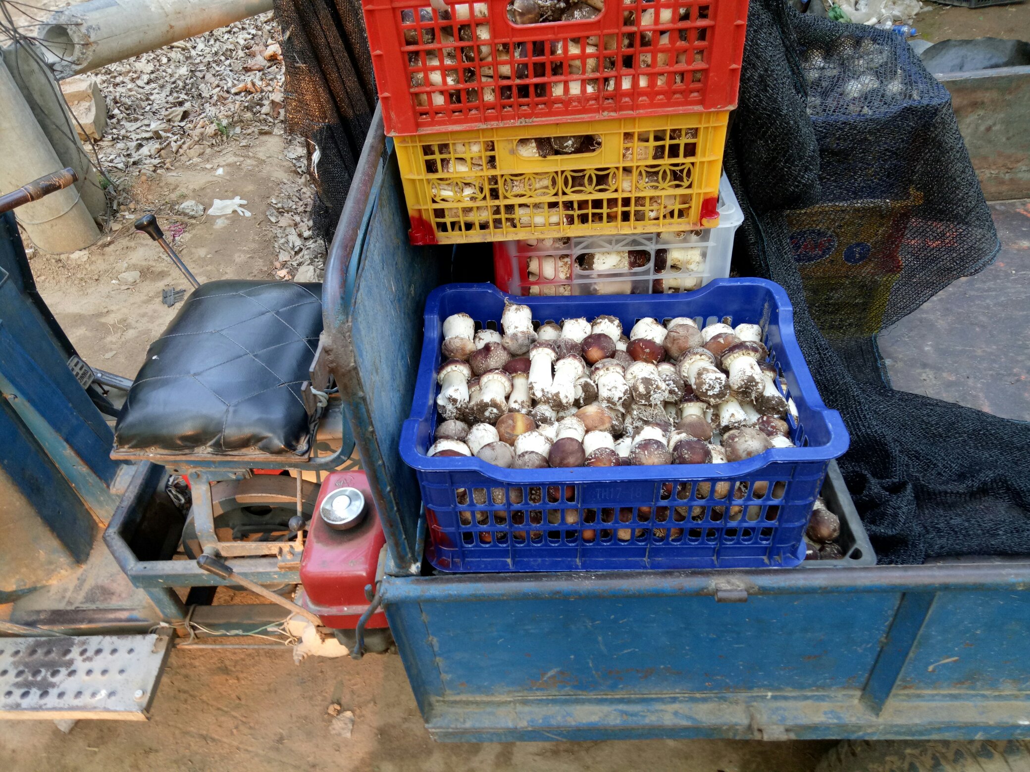 松茸冷链运输车