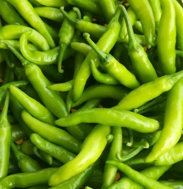 [鲜辣椒批发]韩国青阳腌制,可发市场晒白皮价格0.85元/斤 - 一亩田