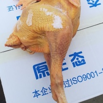 白条鸡麻鸡大冠公鸡青脚麻鸡土鸡