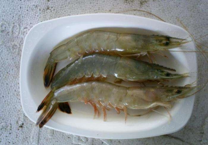 对虾烹饪前后对比图