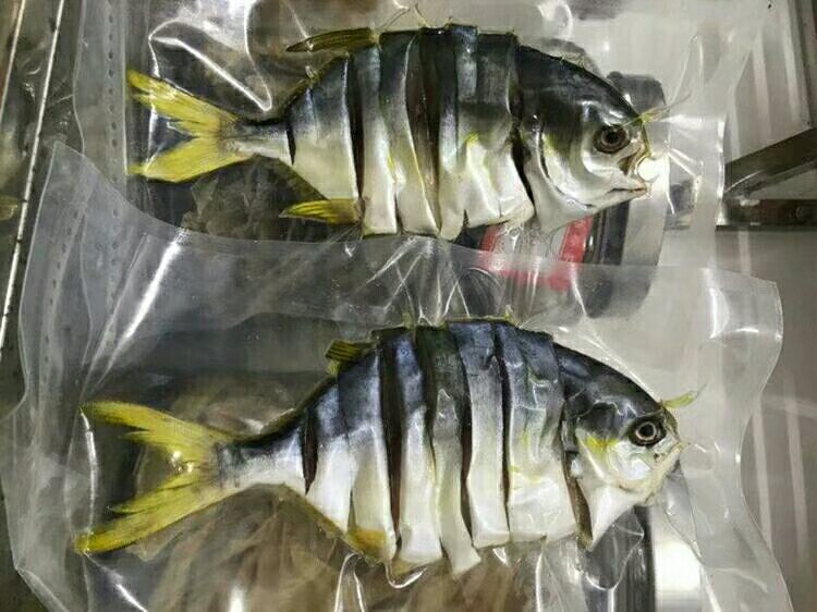 大菱鲆加工成品