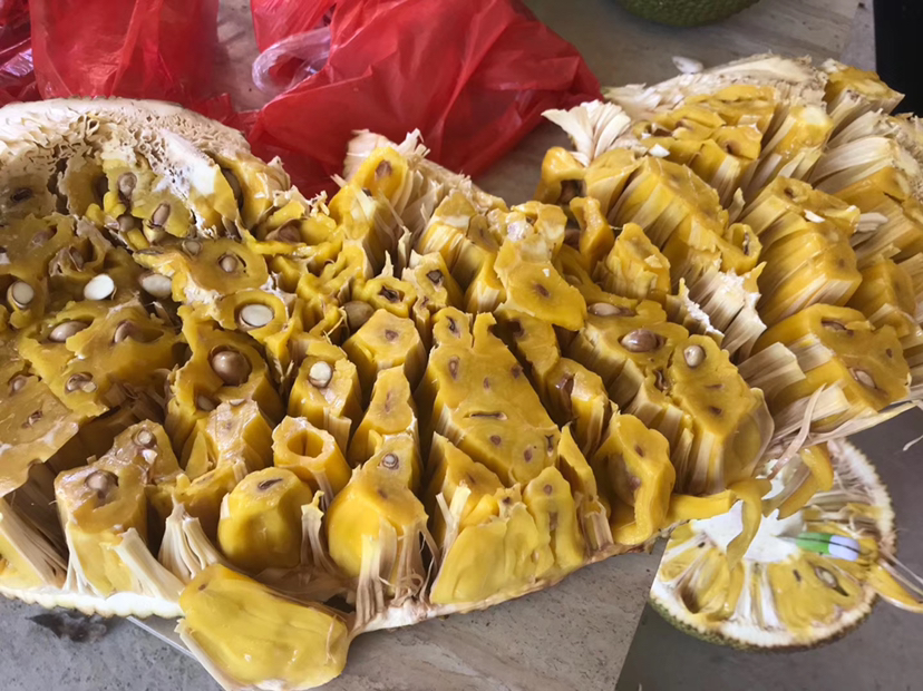 成熟菠萝蜜切开果肉展示图