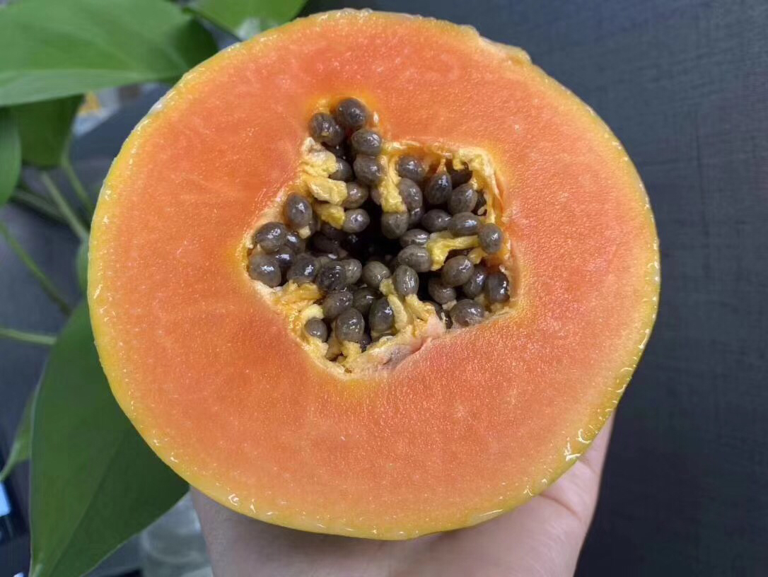 木瓜剖面图展示果肉与种子分布