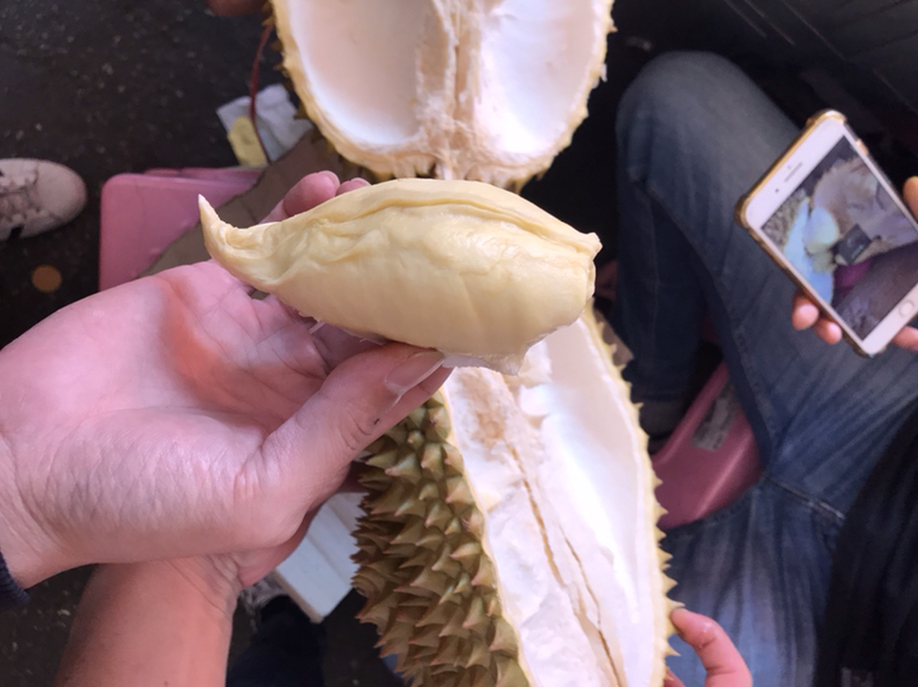 一名专业开果师正在使用专用刀具打开一颗冷冻后的猫山王榴莲,果肉金黄饱满,周围摆放着称重仪器和包装盒,背景为高端水果门店环境 一名专业开果师正在使用专用刀具打开一颗冷冻后的猫山王榴莲,果肉金黄饱满,周围摆放着称重仪器和包装盒,背景为高端水果门店环境